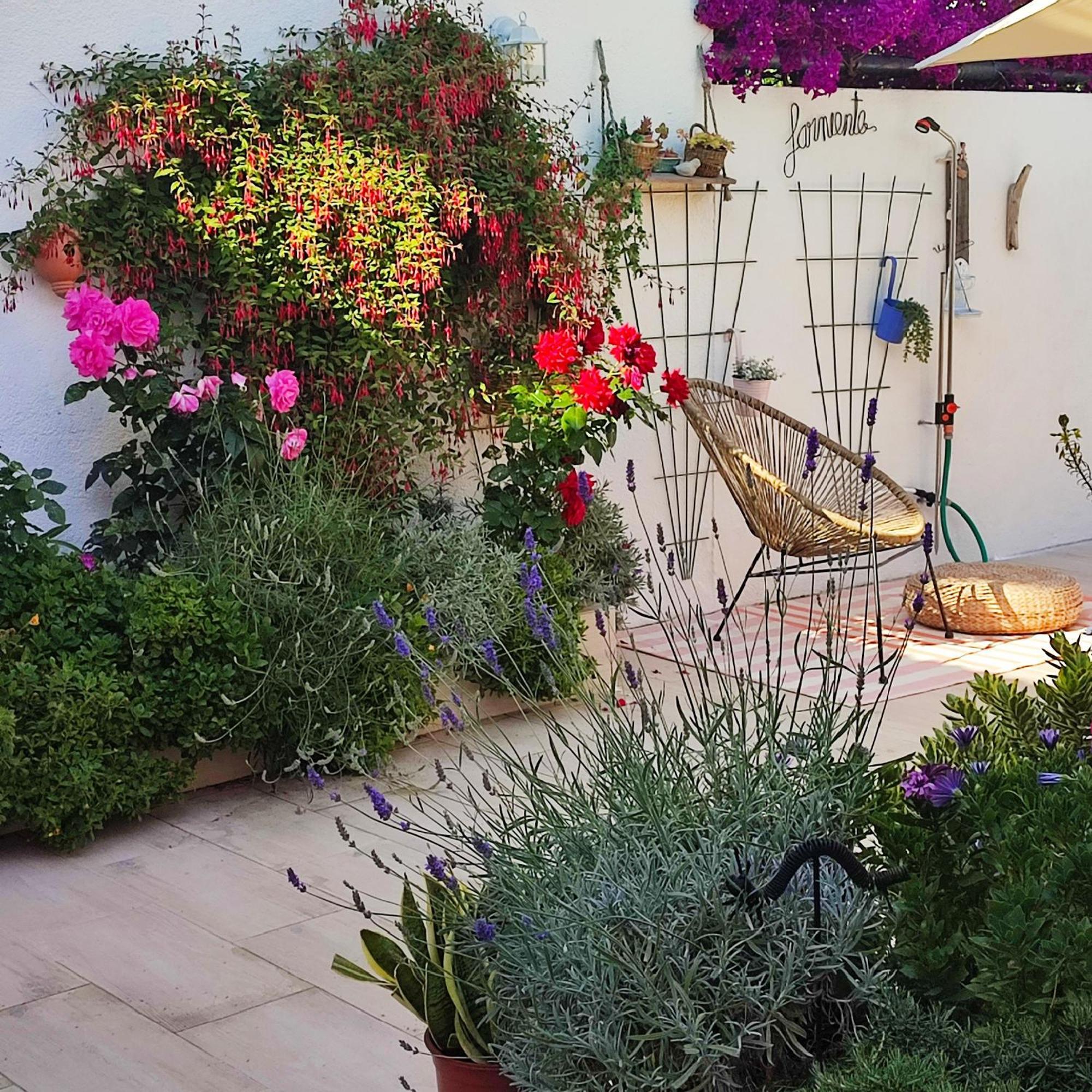 Appartement Maison Juan les Pins, plages, charme à Antibes Extérieur photo